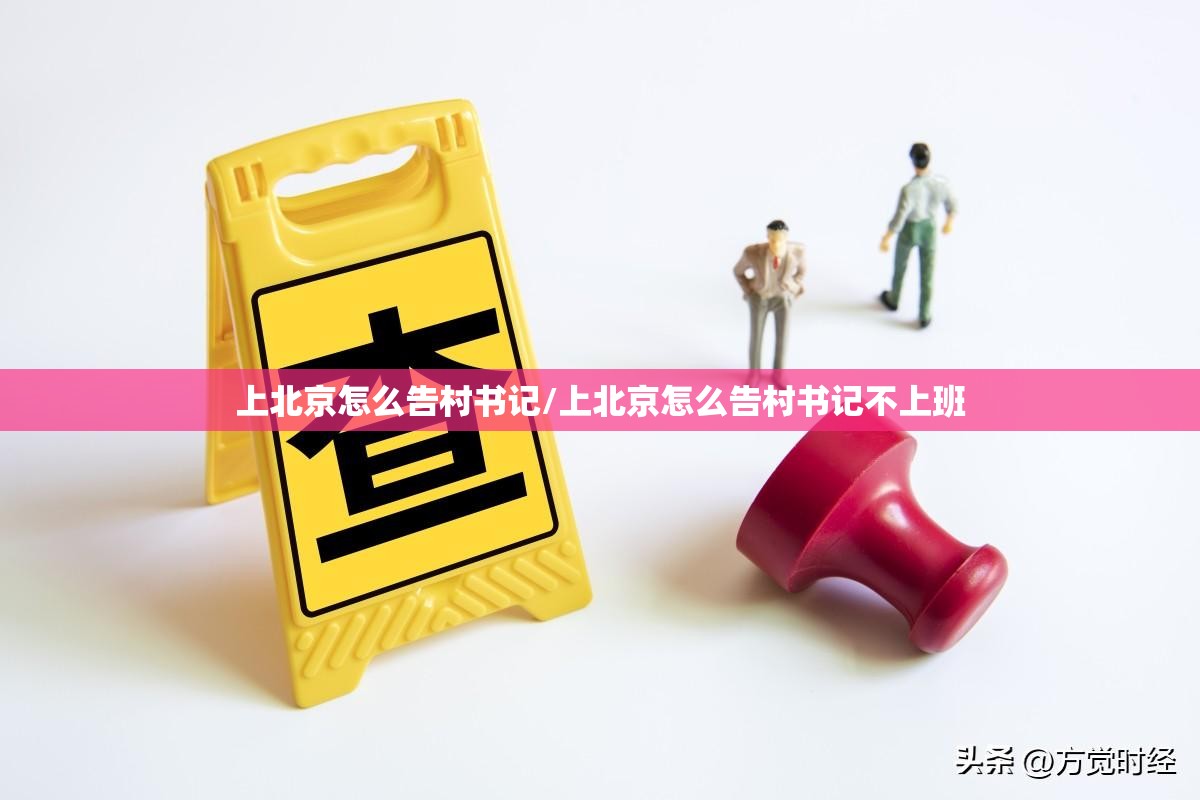 上北京怎么告村书记/上北京怎么告村书记不上班