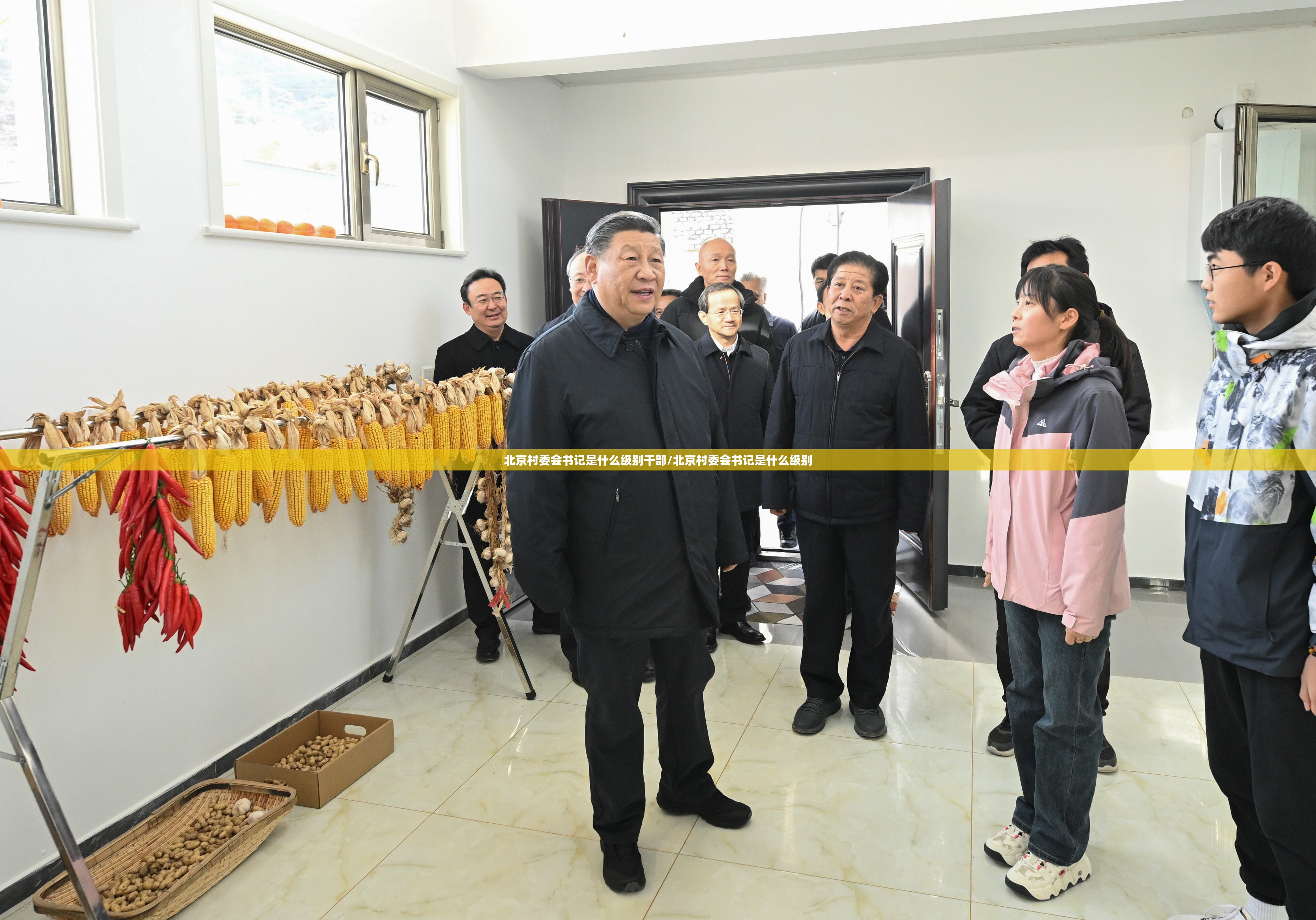 北京村委会书记是什么级别干部/北京村委会书记是什么级别