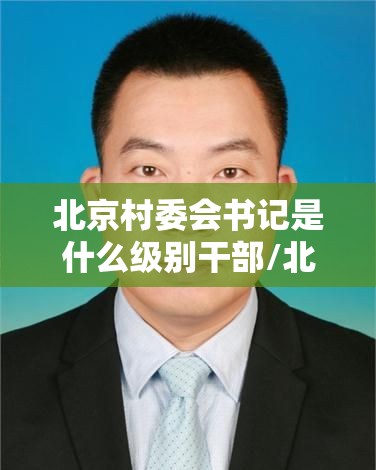 北京村委会书记是什么级别干部/北京村委会书记是什么级别