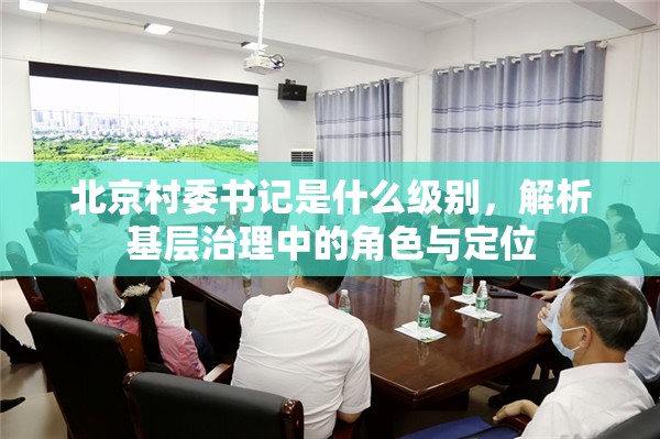 北京村委书记是什么级别，解析基层治理中的角色与定位