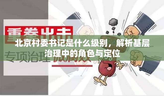 北京村委书记是什么级别，解析基层治理中的角色与定位