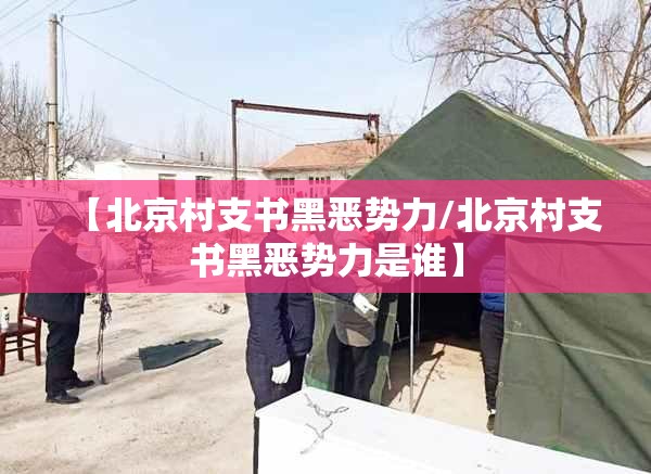 【北京村支书黑恶势力/北京村支书黑恶势力是谁】