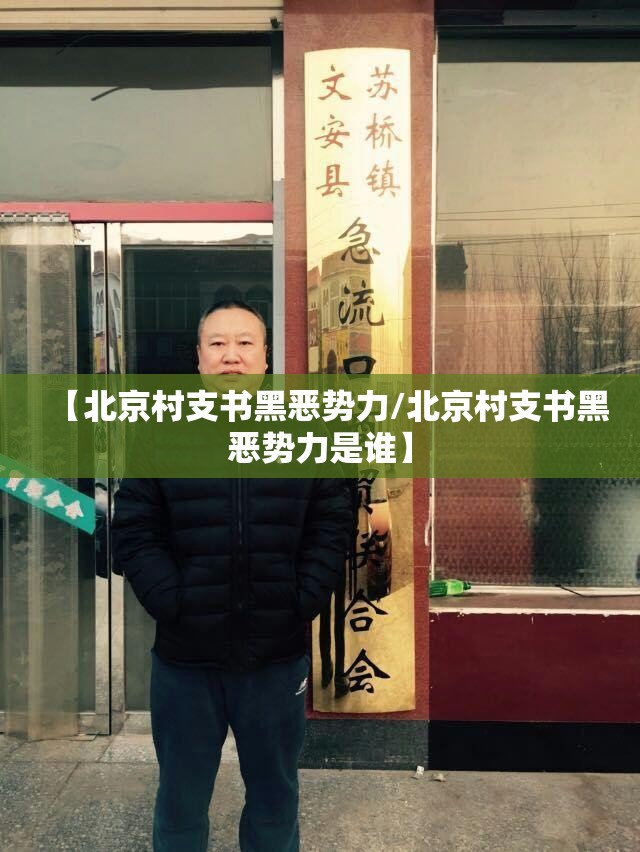 【北京村支书黑恶势力/北京村支书黑恶势力是谁】