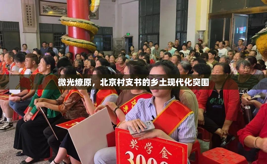 微光燎原，北京村支书的乡土现代化突围