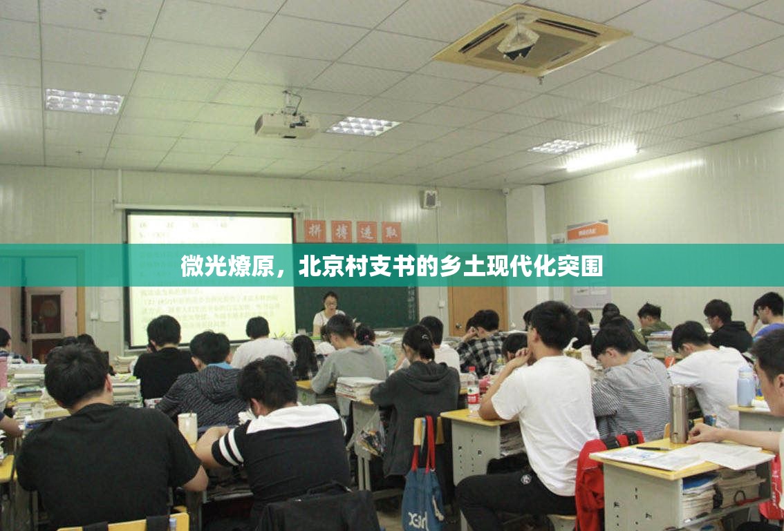微光燎原，北京村支书的乡土现代化突围