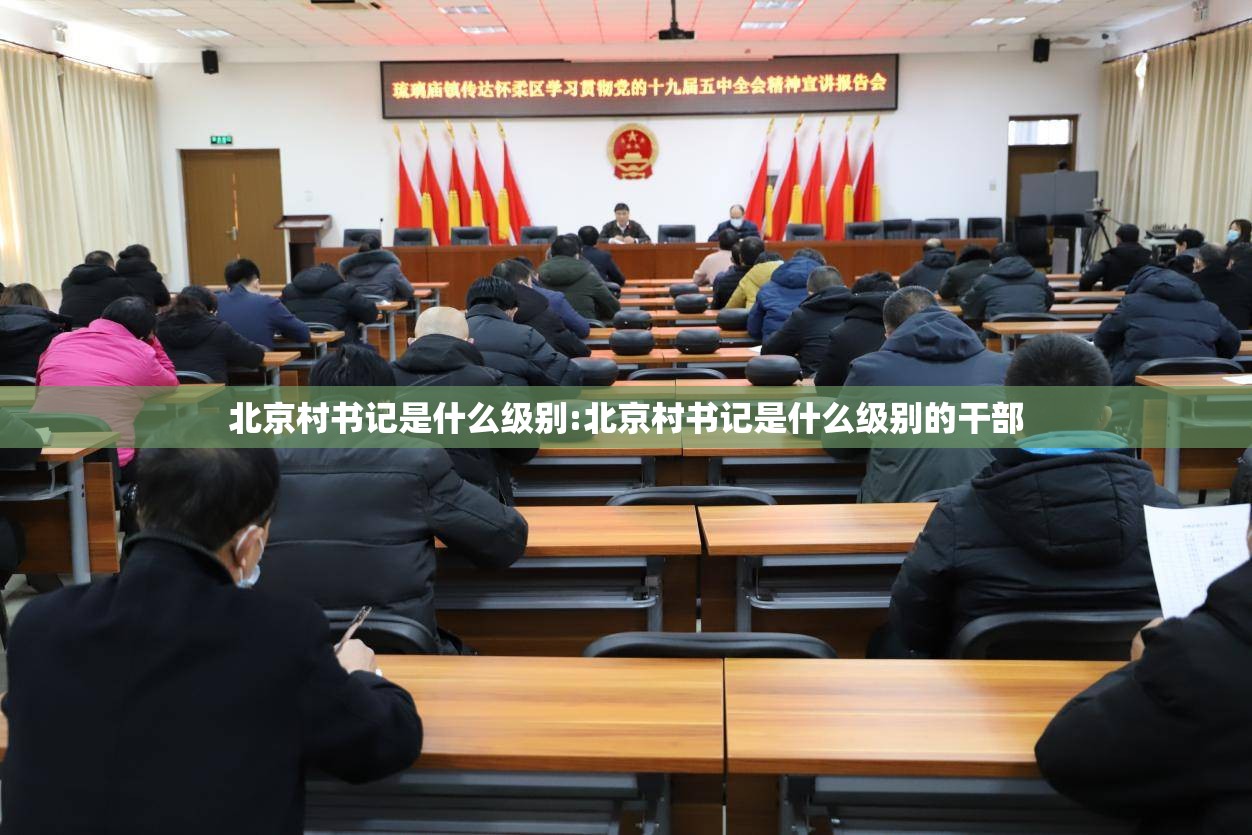 北京村书记是什么级别:北京村书记是什么级别的干部