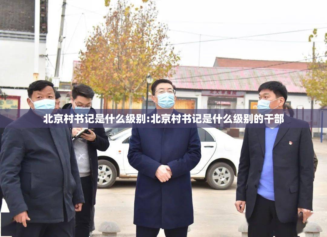 北京村书记是什么级别:北京村书记是什么级别的干部