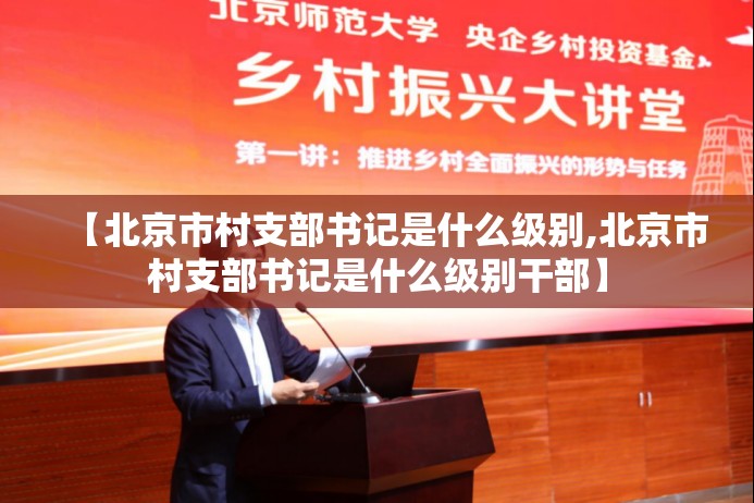 【北京市村支部书记是什么级别,北京市村支部书记是什么级别干部】