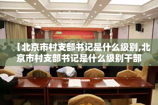 【北京市村支部书记是什么级别,北京市村支部书记是什么级别干部】