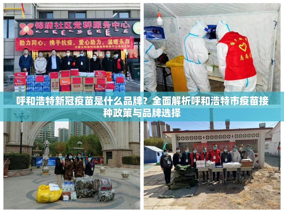 呼和浩特新冠疫苗是什么品牌？全面解析呼和浩特市疫苗接种政策与品牌选择