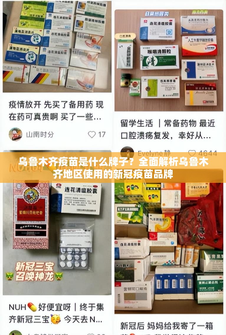 乌鲁木齐疫苗是什么牌子？全面解析乌鲁木齐地区使用的新冠疫苗品牌