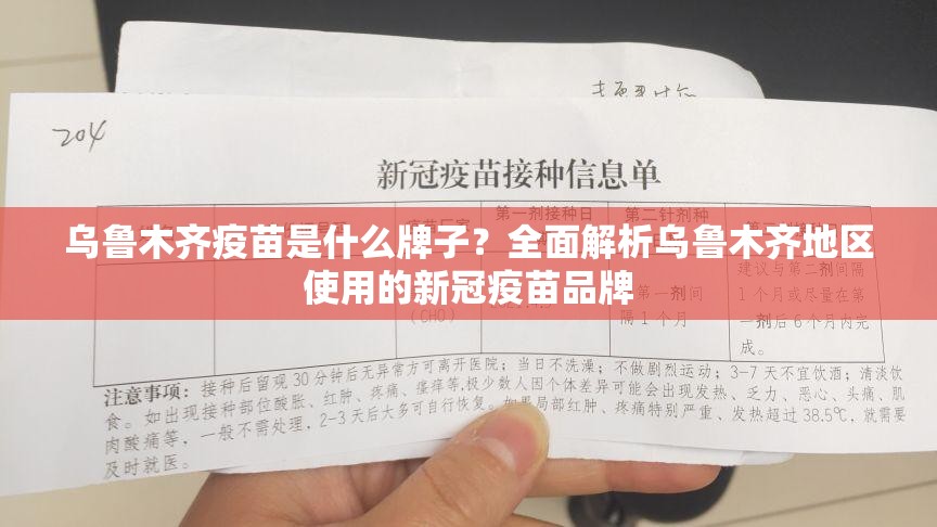 乌鲁木齐疫苗是什么牌子？全面解析乌鲁木齐地区使用的新冠疫苗品牌