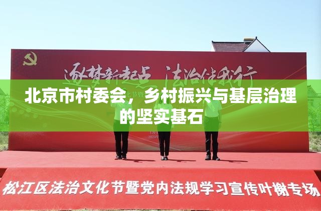 北京市村委会，乡村振兴与基层治理的坚实基石