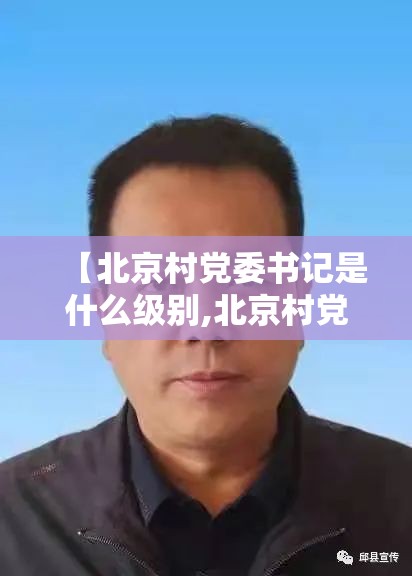 【北京村党委书记是什么级别,北京村党委书记是什么级别干部】