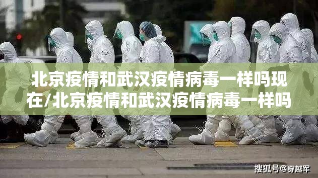 北京疫情和武汉疫情病毒一样吗现在/北京疫情和武汉疫情病毒一样吗