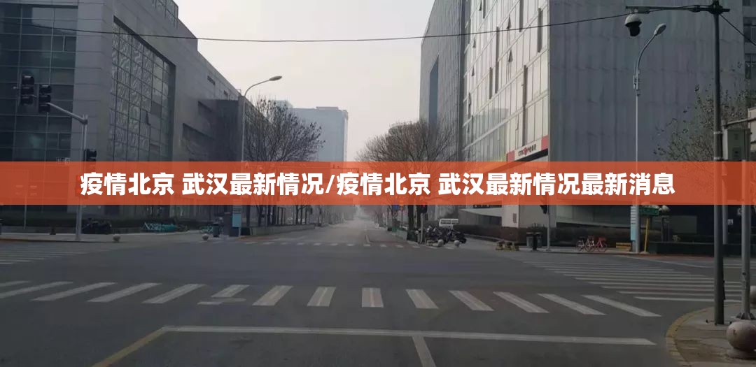 疫情北京 武汉最新情况/疫情北京 武汉最新情况最新消息