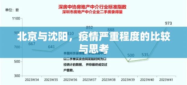 北京与沈阳，疫情严重程度的比较与思考
