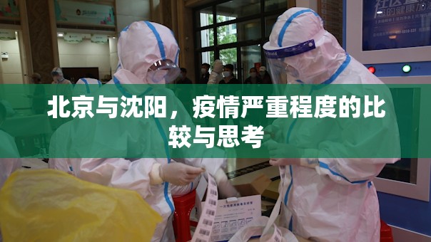 北京与沈阳，疫情严重程度的比较与思考