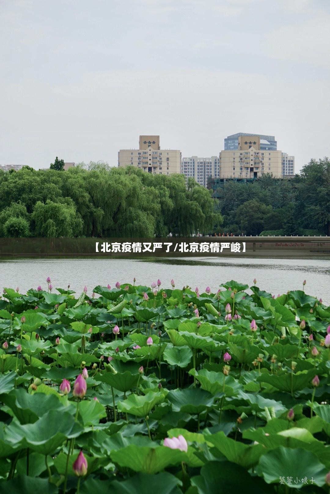 【北京疫情又严了/北京疫情严峻】