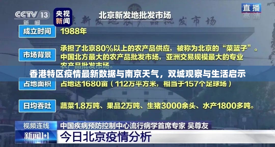 香港特区疫情最新数据与南京天气，双城观察与生活启示