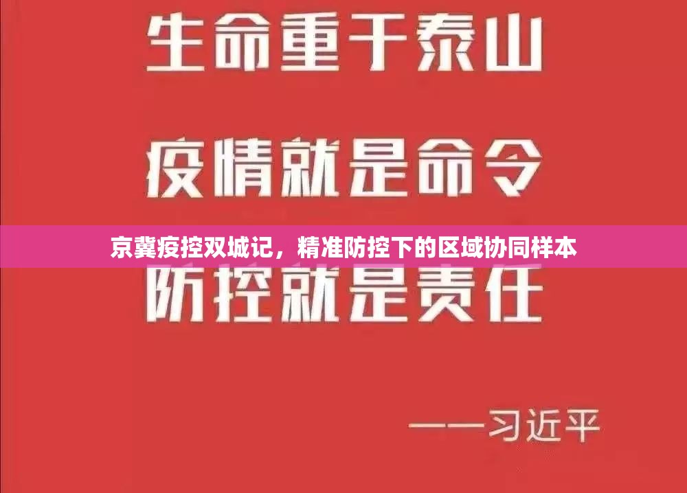 京冀疫控双城记，精准防控下的区域协同样本