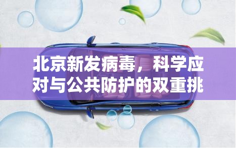 北京新发病毒，科学应对与公共防护的双重挑战