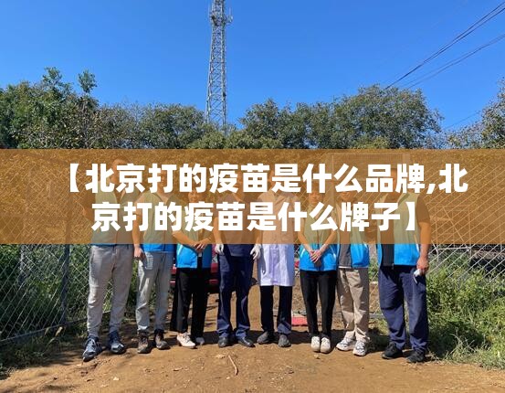 【北京打的疫苗是什么品牌,北京打的疫苗是什么牌子】
