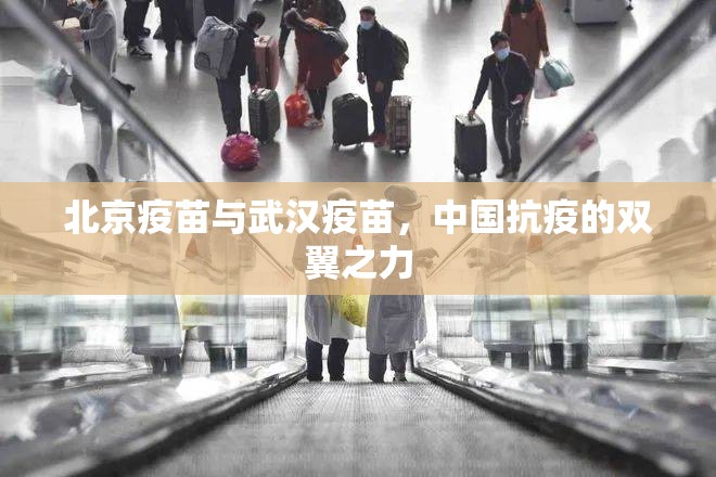 北京疫苗与武汉疫苗，中国抗疫的双翼之力