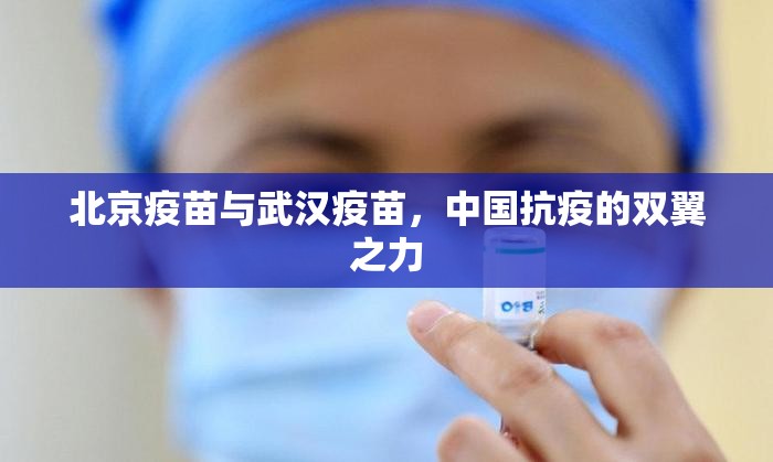 北京疫苗与武汉疫苗，中国抗疫的双翼之力