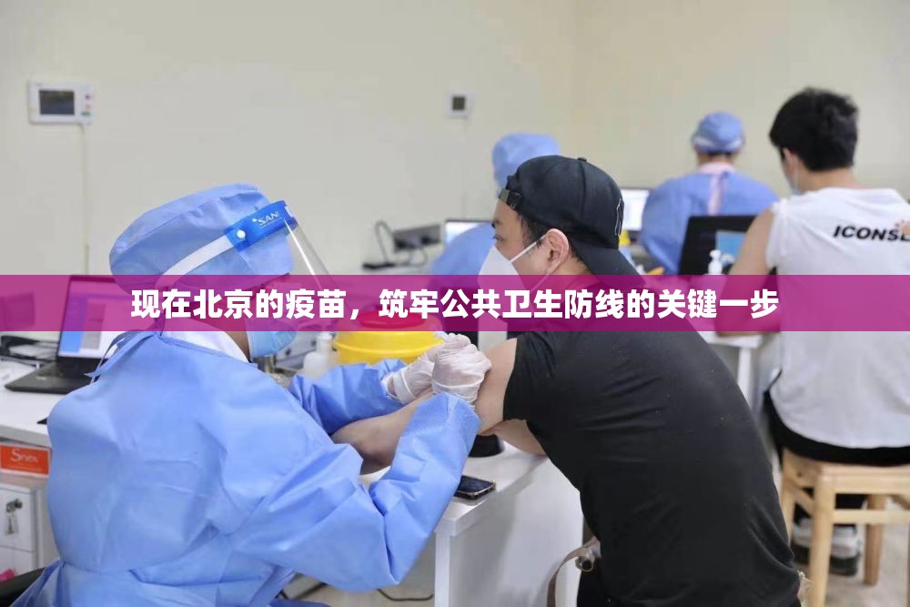 现在北京的疫苗，筑牢公共卫生防线的关键一步