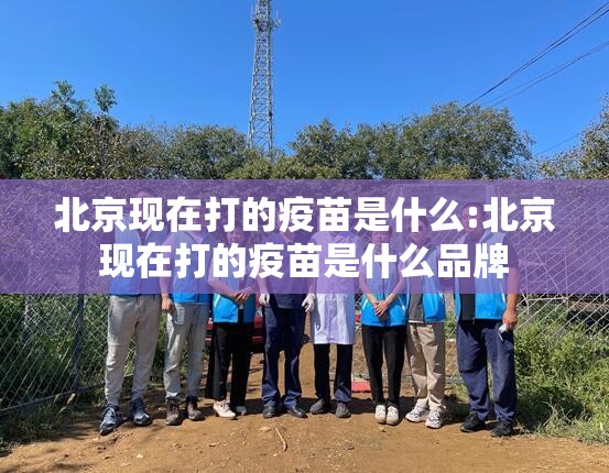 北京现在打的疫苗是什么:北京现在打的疫苗是什么品牌
