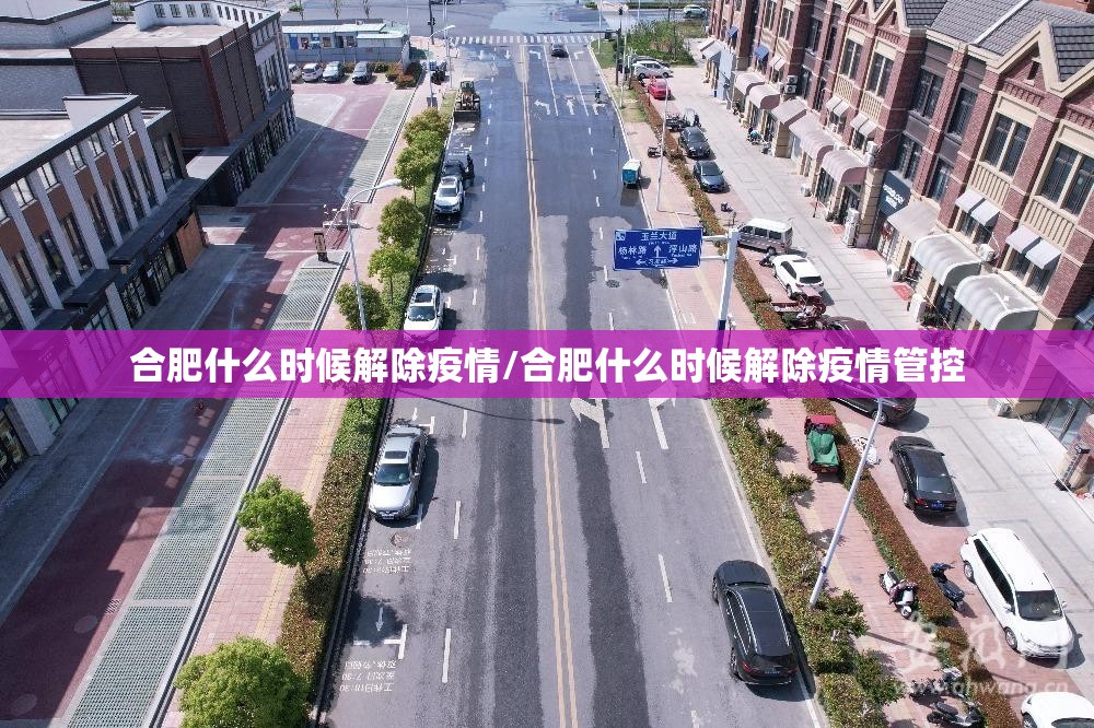 合肥什么时候解除疫情/合肥什么时候解除疫情管控