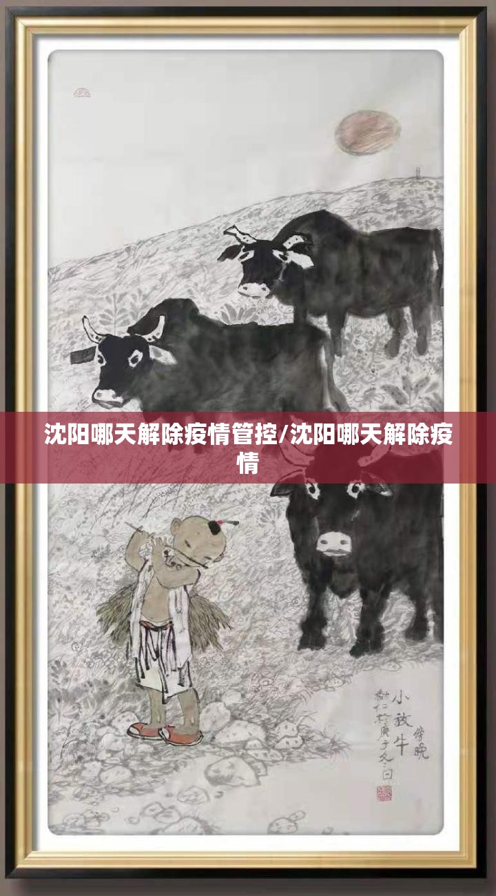 沈阳哪天解除疫情管控/沈阳哪天解除疫情