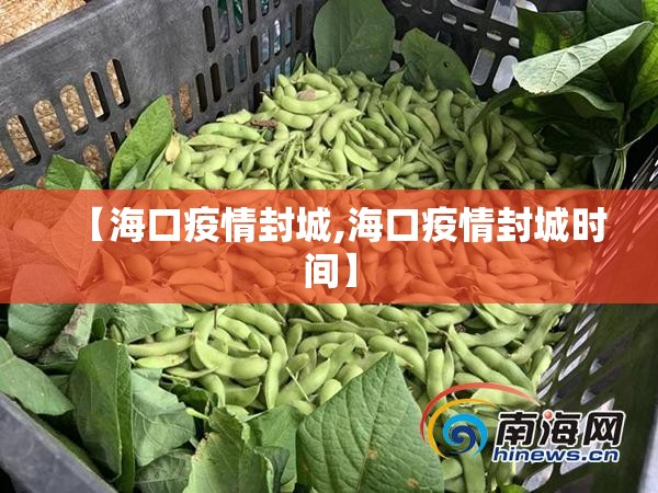 【海口疫情封城,海口疫情封城时间】