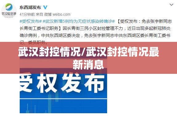 武汉封控情况/武汉封控情况最新消息
