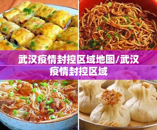 武汉疫情封控区域地图/武汉疫情封控区域