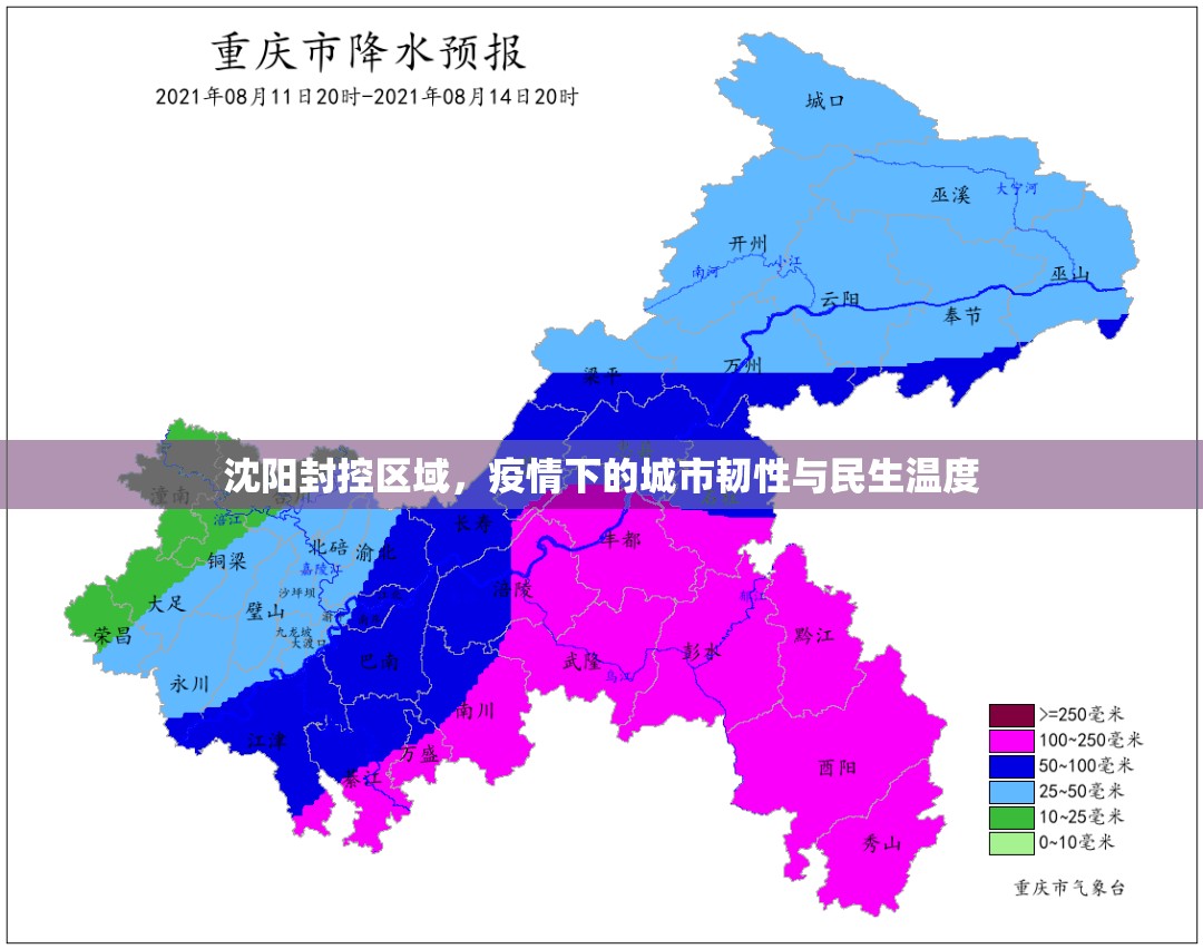 沈阳封控区域，疫情下的城市韧性与民生温度