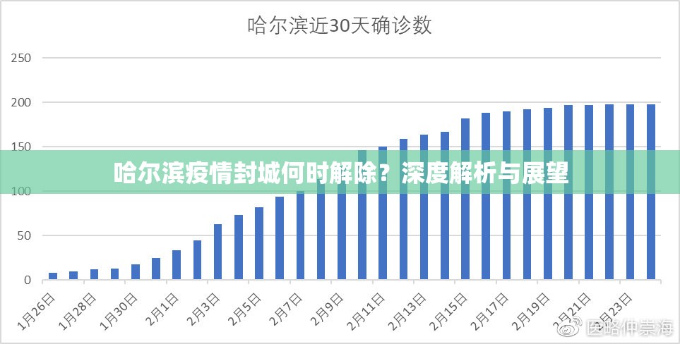 哈尔滨疫情封城何时解除？深度解析与展望