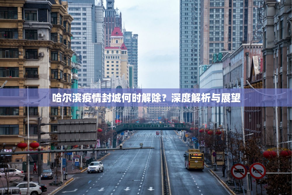 哈尔滨疫情封城何时解除？深度解析与展望