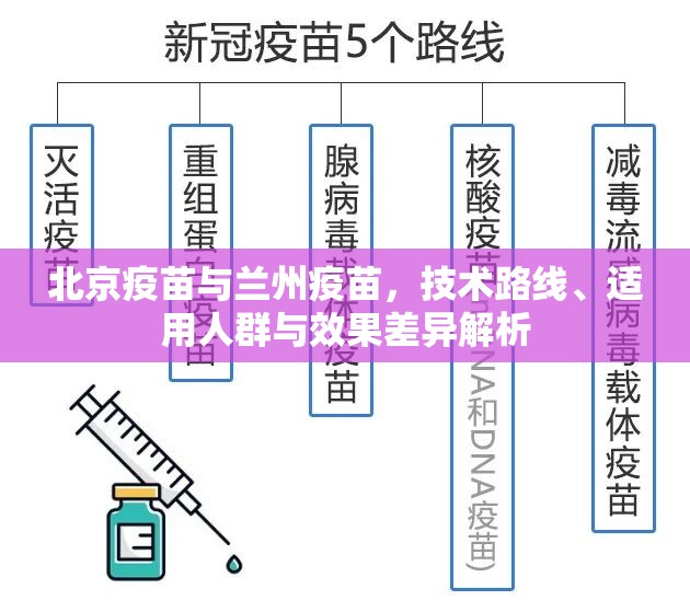 北京疫苗与兰州疫苗，技术路线、适用人群与效果差异解析