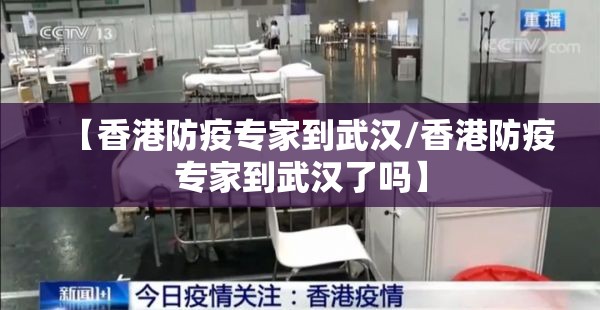 【香港防疫专家到武汉/香港防疫专家到武汉了吗】