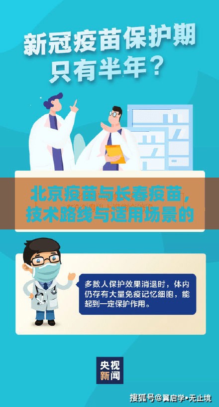 北京疫苗与长春疫苗，技术路线与适用场景的差异解析