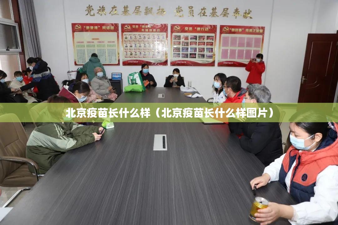 北京疫苗长什么样（北京疫苗长什么样图片）