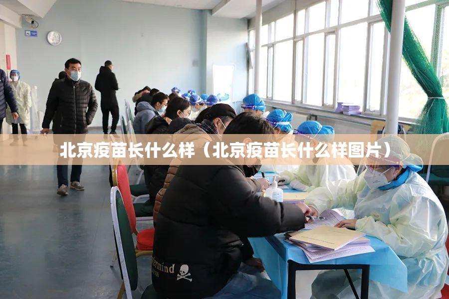 北京疫苗长什么样（北京疫苗长什么样图片）