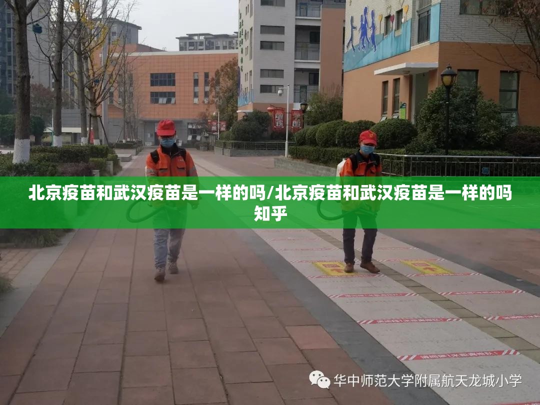 北京疫苗和武汉疫苗是一样的吗/北京疫苗和武汉疫苗是一样的吗知乎
