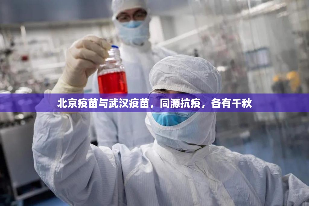北京疫苗与武汉疫苗，同源抗疫，各有千秋