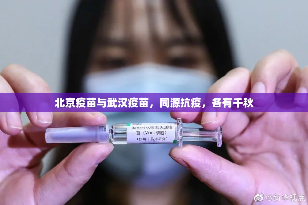 北京疫苗与武汉疫苗，同源抗疫，各有千秋