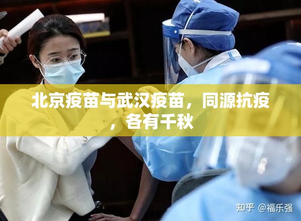 北京疫苗与武汉疫苗，同源抗疫，各有千秋