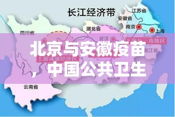北京与安徽疫苗，中国公共卫生的双城记