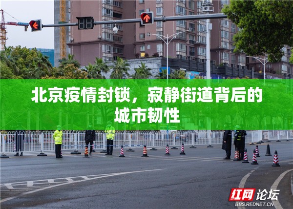 北京疫情封锁，寂静街道背后的城市韧性